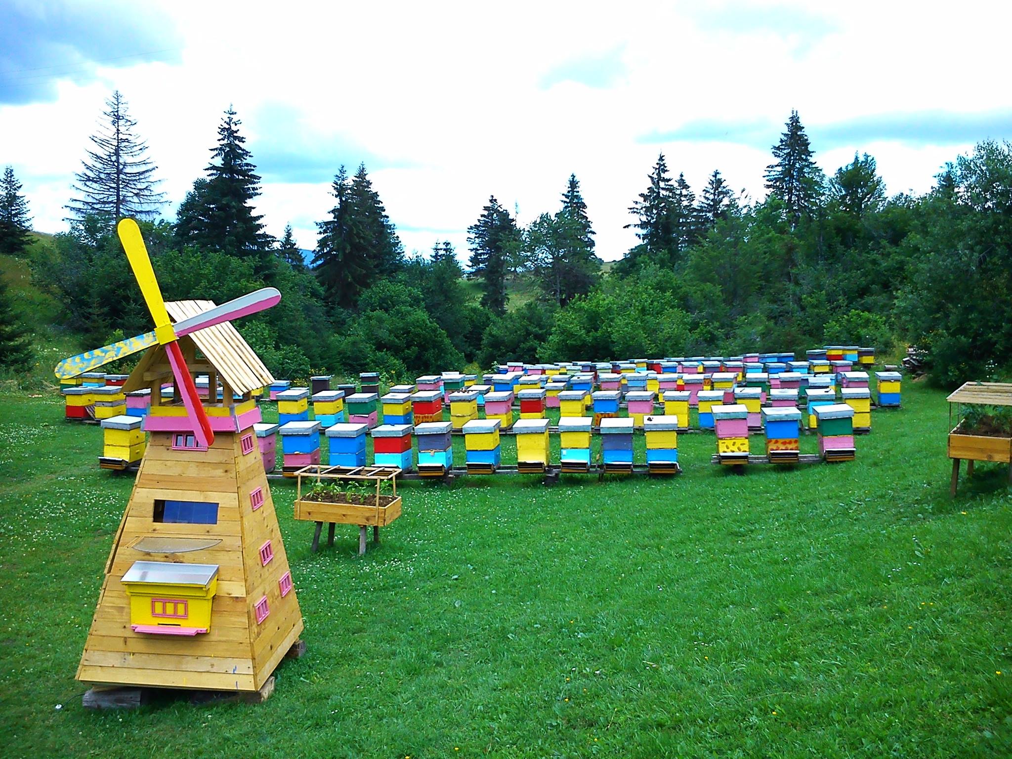 Čebelarstvo... - Čebelarstvo Kozinc / Beekeeping Kozinc