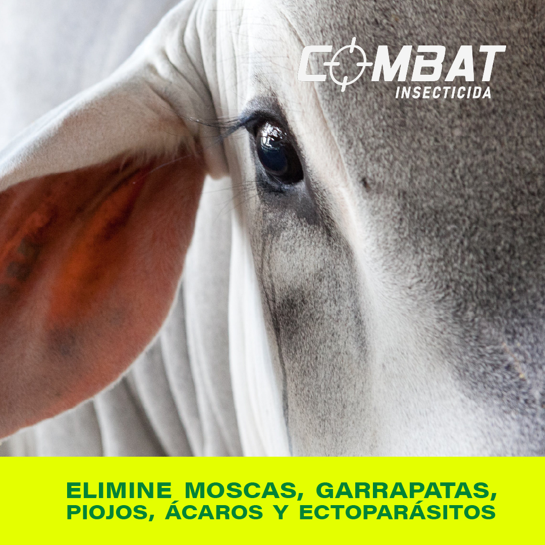 Combat - 🐄🐖 ¡𝐏𝐫𝐨𝐭𝐞𝐠𝐞 𝐚 𝐭𝐮𝐬 𝐚𝐧𝐢𝐦𝐚𝐥𝐞𝐬 𝐝𝐞 𝐥𝐨𝐬 𝐦𝐨𝐥𝐞𝐬𝐭𝐨𝐬 𝐞𝐜𝐭𝐨𝐩𝐚𝐫𝐚́𝐬𝐢𝐭𝐨𝐬! 🪰 ...