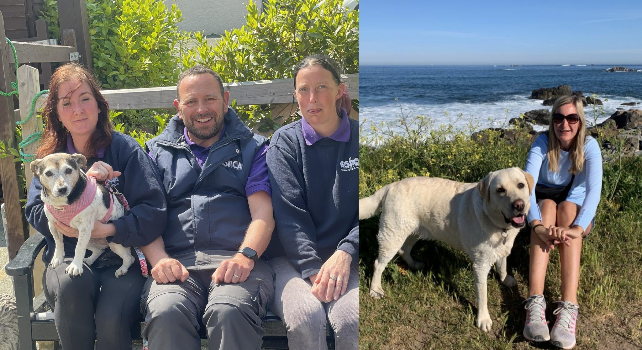 Please sponsor team members Tim,... - GSPCA, Guernsey SPCA | Facebook