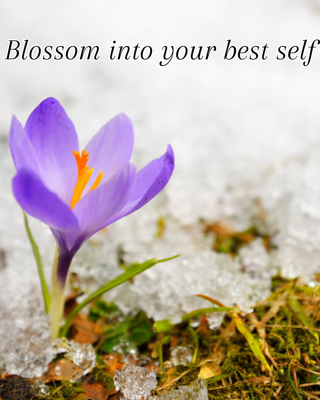Breakthrough - Rehabilitation is a process of growing into the stronger ...