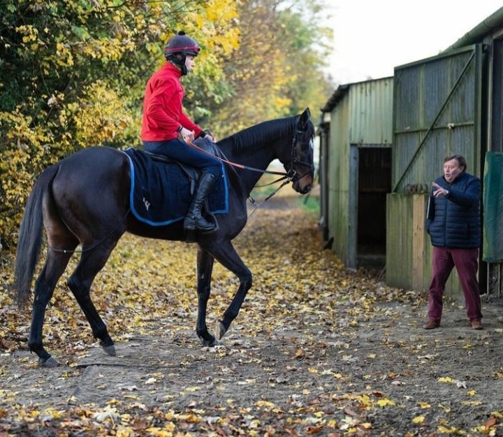 ReinRite Equestrian Training Aid