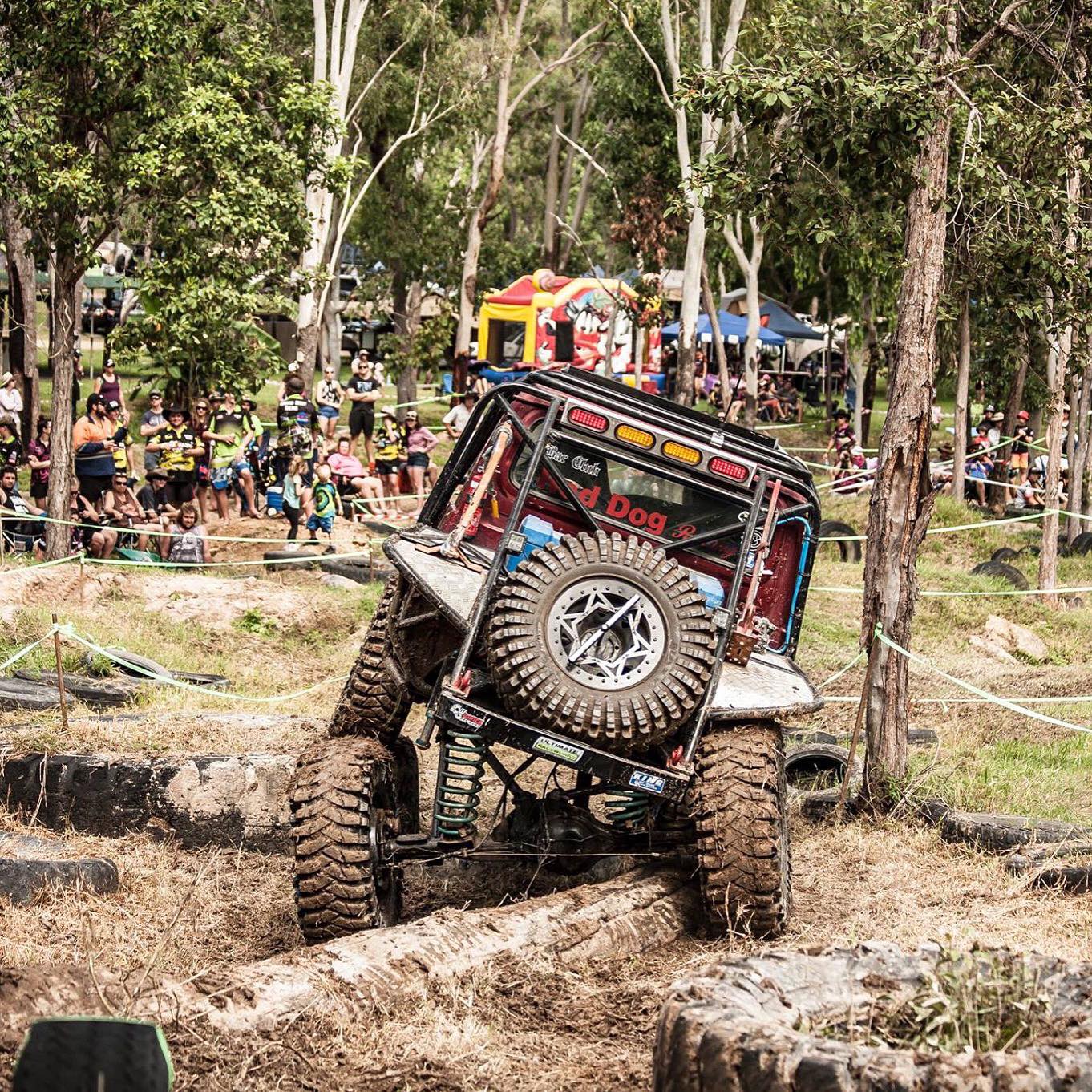 Red Dog Racing