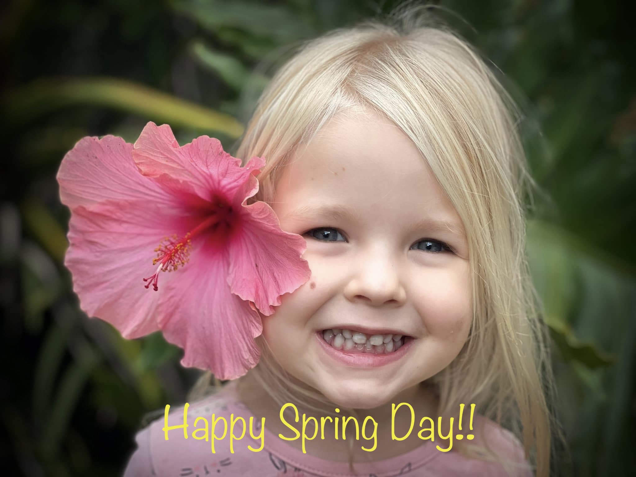 Wishing a happy spring day