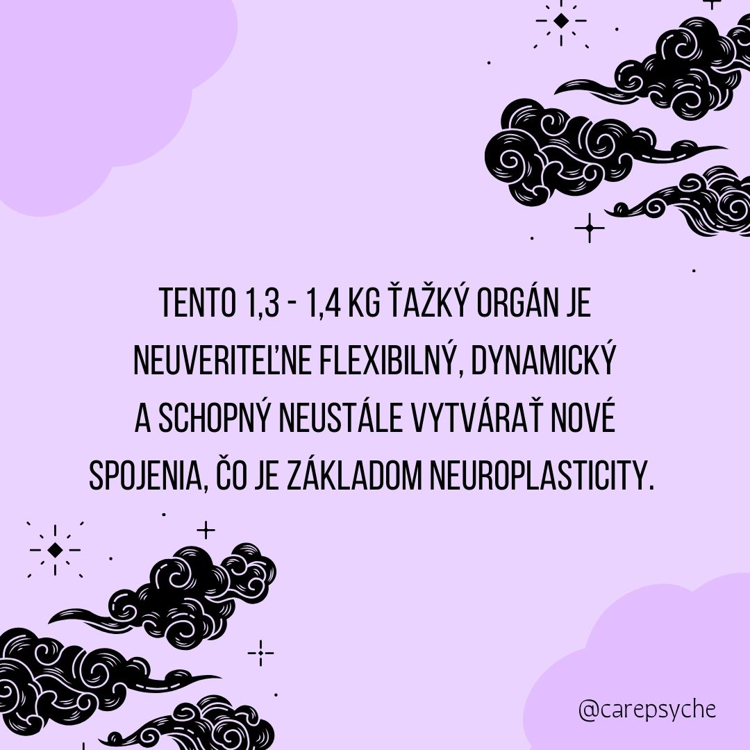 Ψ CarePsyche - PhDr. Radka Balková Ligušová | Kosice