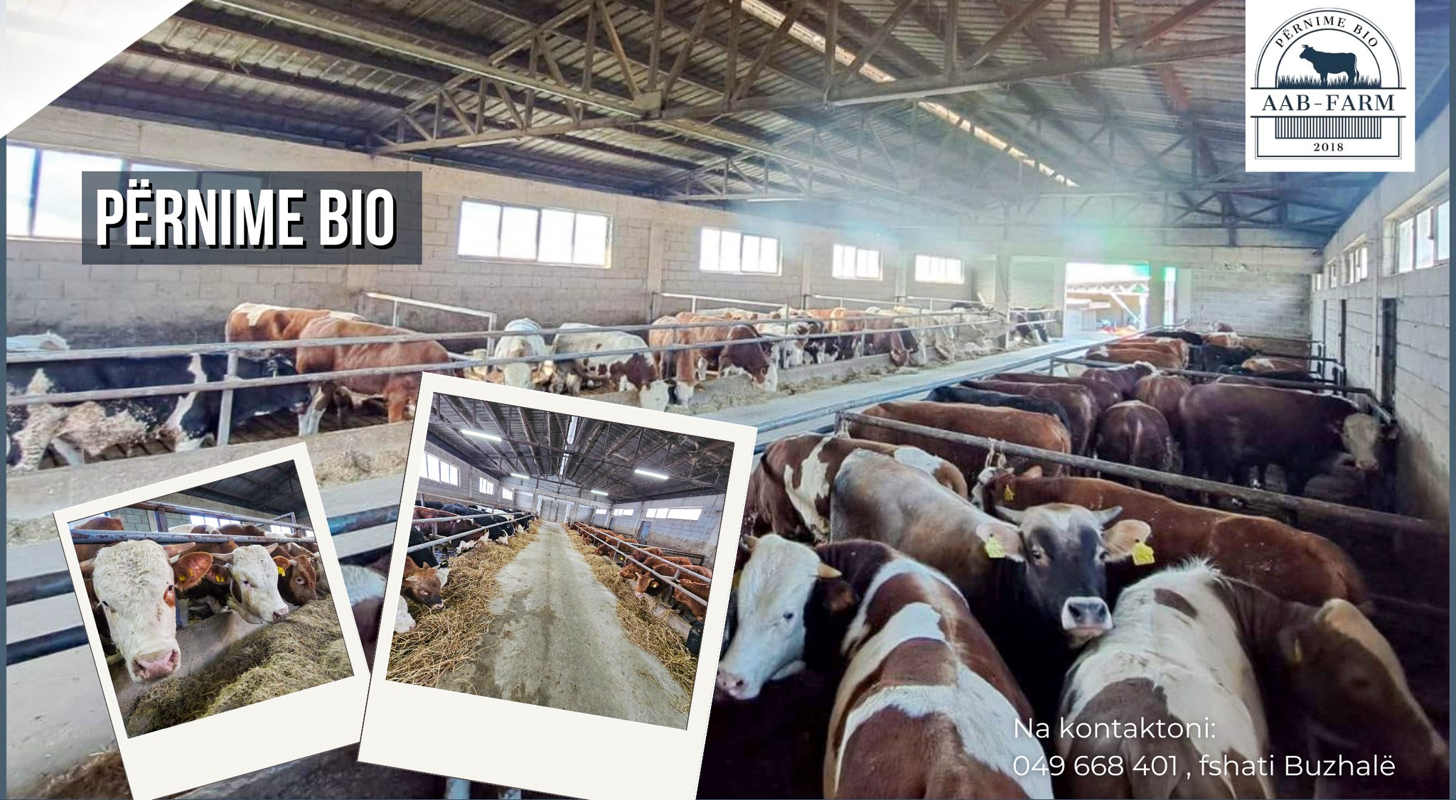 AAB-Farm | Suharekë
