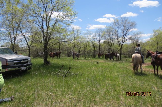Triple R Riding Club, Inc. - Happy Monday! Various club members visited ...