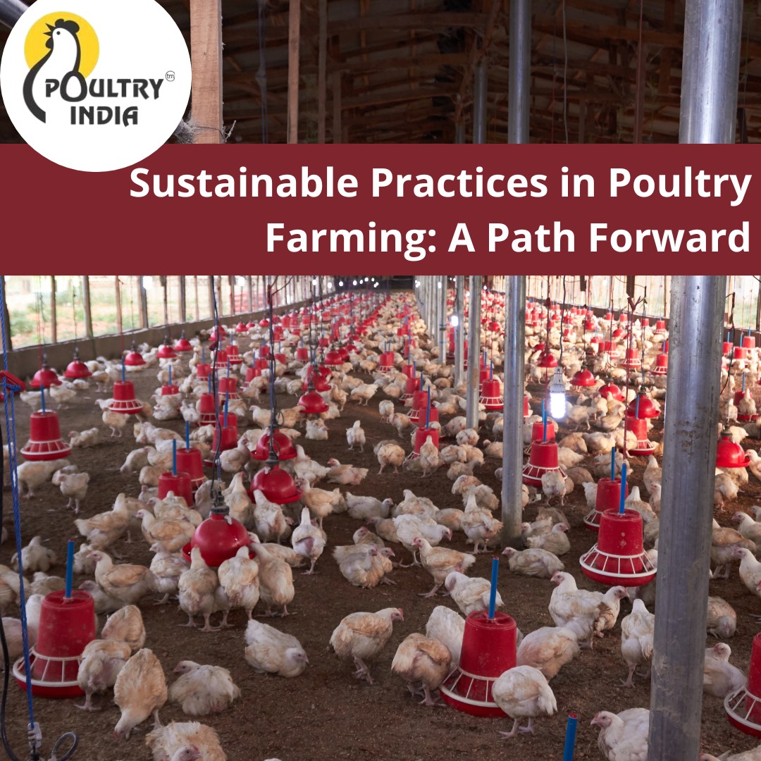 PoultryIndia - Sustainability isn’t just a trend; it’s the future of ...