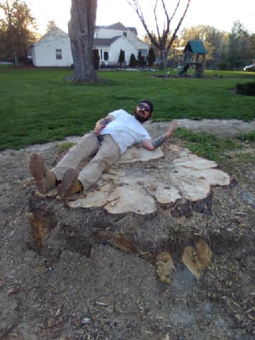 Slatt’s Trees