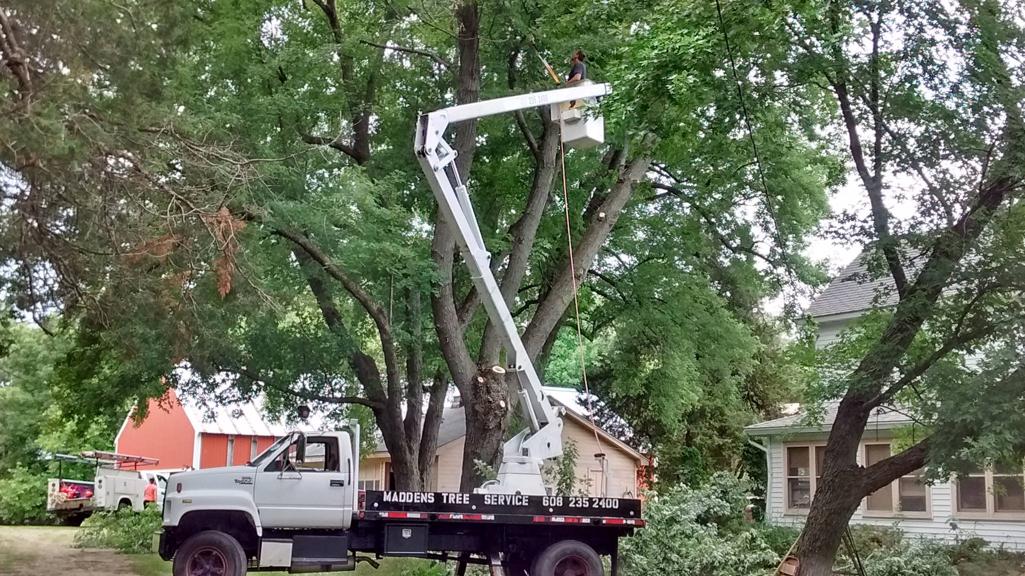 Madden's Tree Service