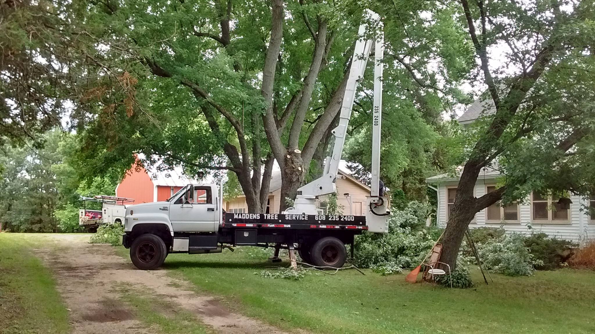 Madden's Tree Service