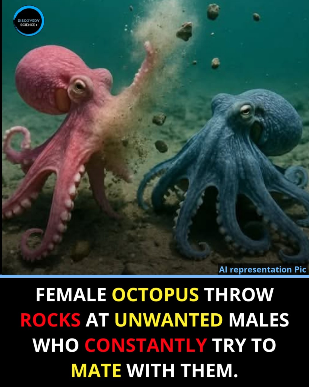 in the coastal waters of Australia,... - Discovery Science+ | Facebook