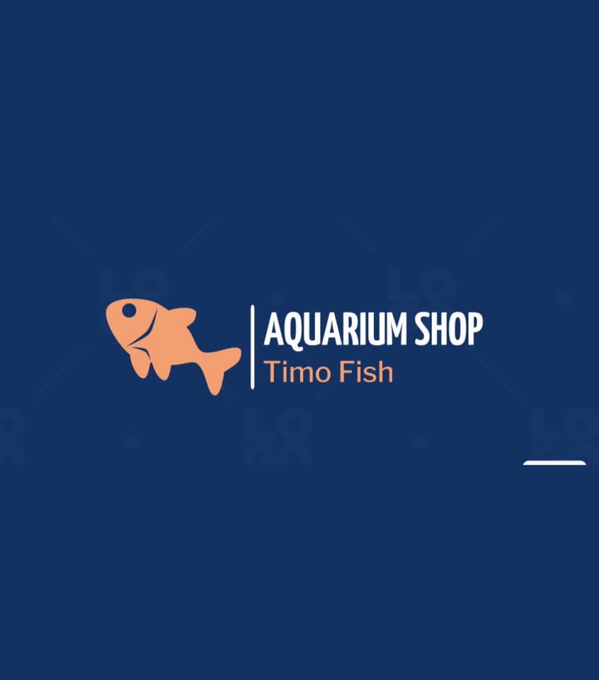 (Timo Fish 🐠 ) معرض اسماك الزينه في الاسكندرية