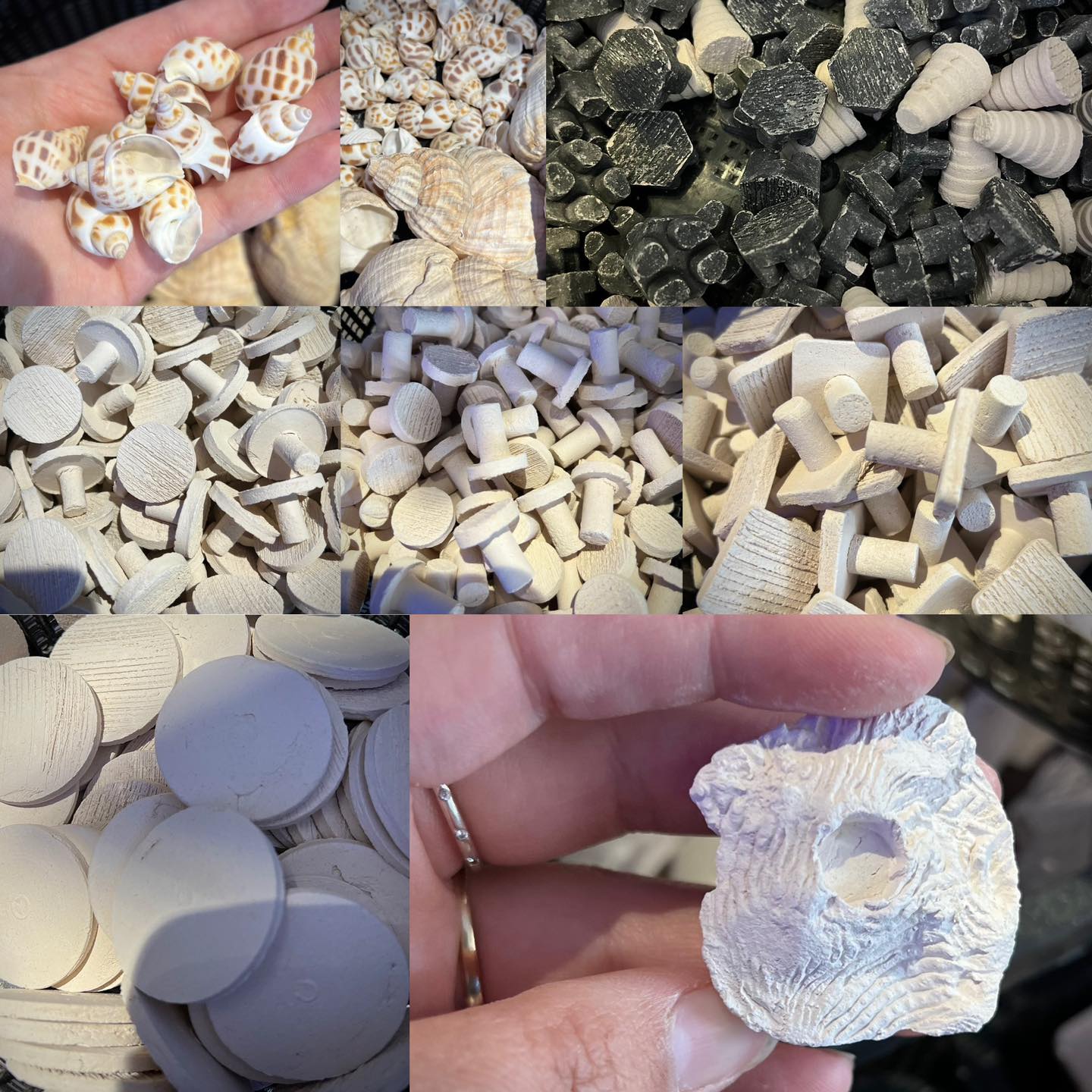 New frag plugs and hermit shells,... - Mansfield Aquatics ltd