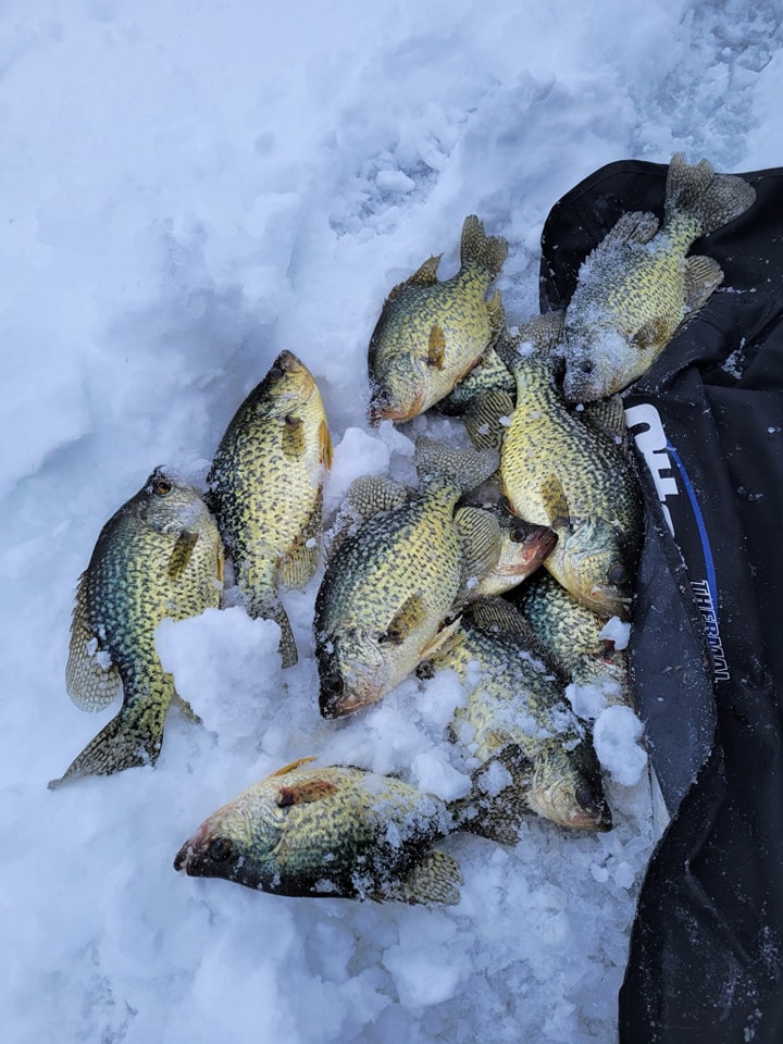 fan-lure ice fishing croppie Jigs Set, 50Pcs Jig Heads for Ice Fishing Lure for Crappie Trout Perch Sunfish Panfish Walleye Pike : Sports & Outdoors Tackle Tip Tuesday - Top