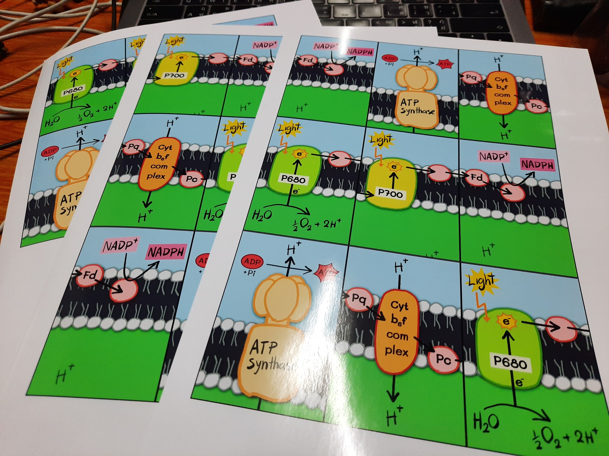 ถ้าจะมีบอร์... - Boss Lab Board Game - วิทยากรบอร์ดเกมการศึกษา | Facebook