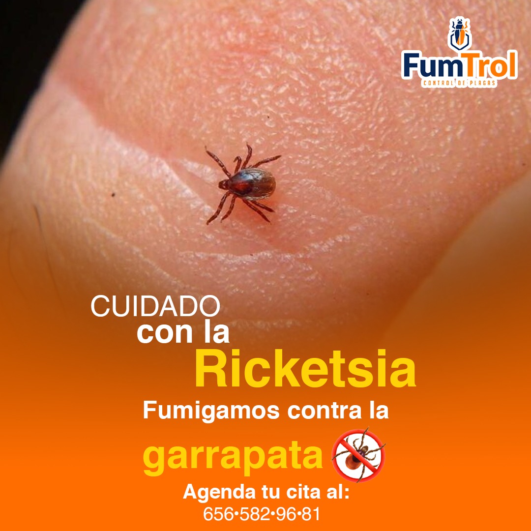 FumTrol - ¿Sabías que la rickettsia es una de las enfermedades más ...