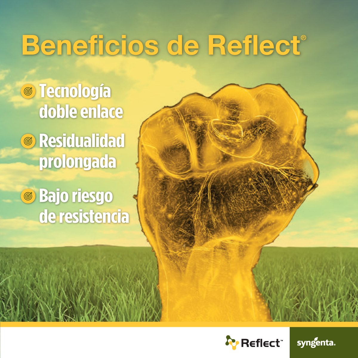 Syngenta Perú - ¿Ya conoces Reflect®? Es el fungicida de... | Facebook