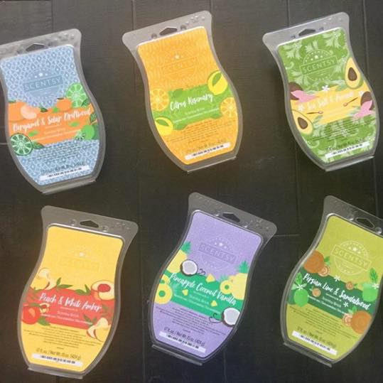 Renee Rutter - Independent Scentsy Consultant