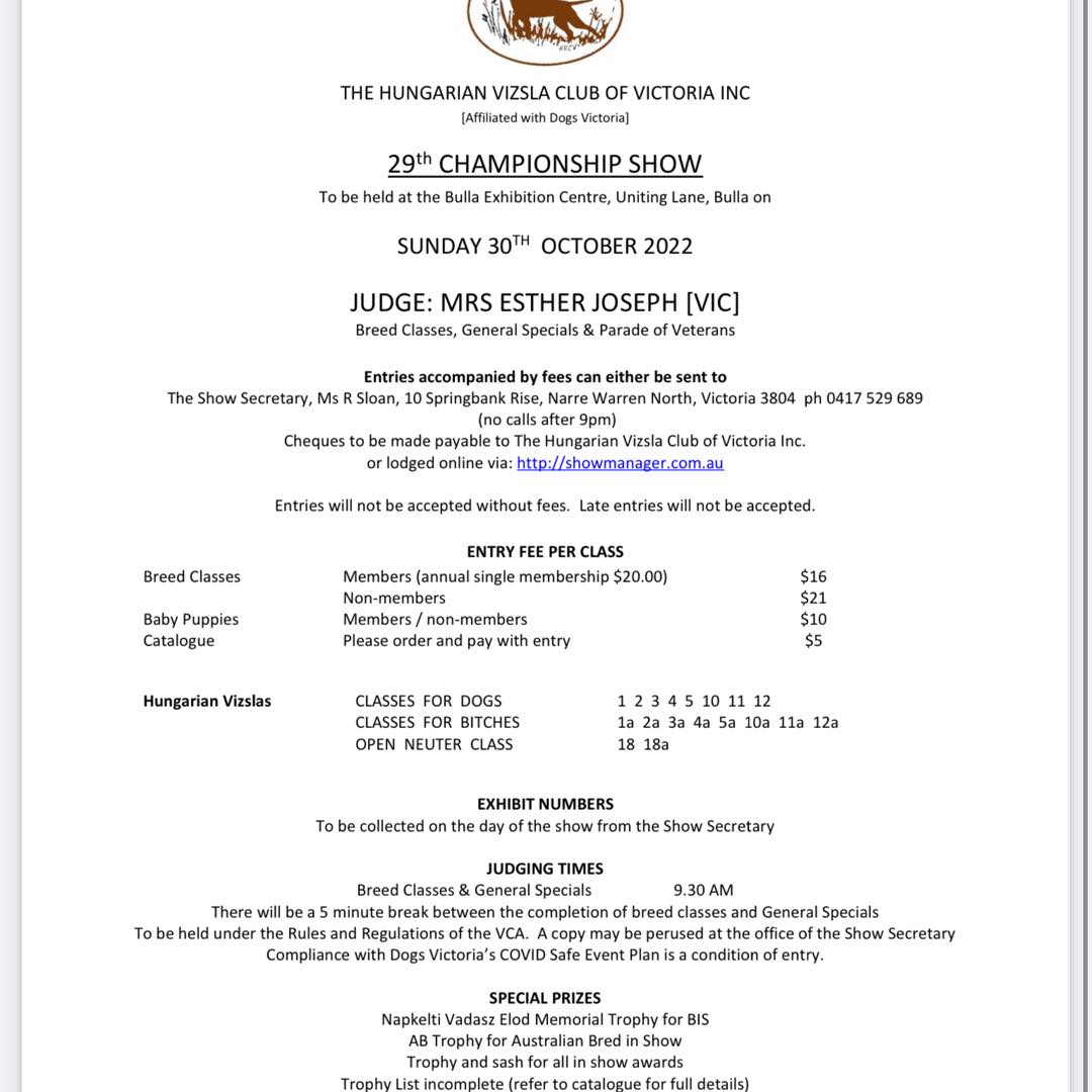 HVCV twin Champ shows... - Hungarian Vizsla Club of NSW | Facebook