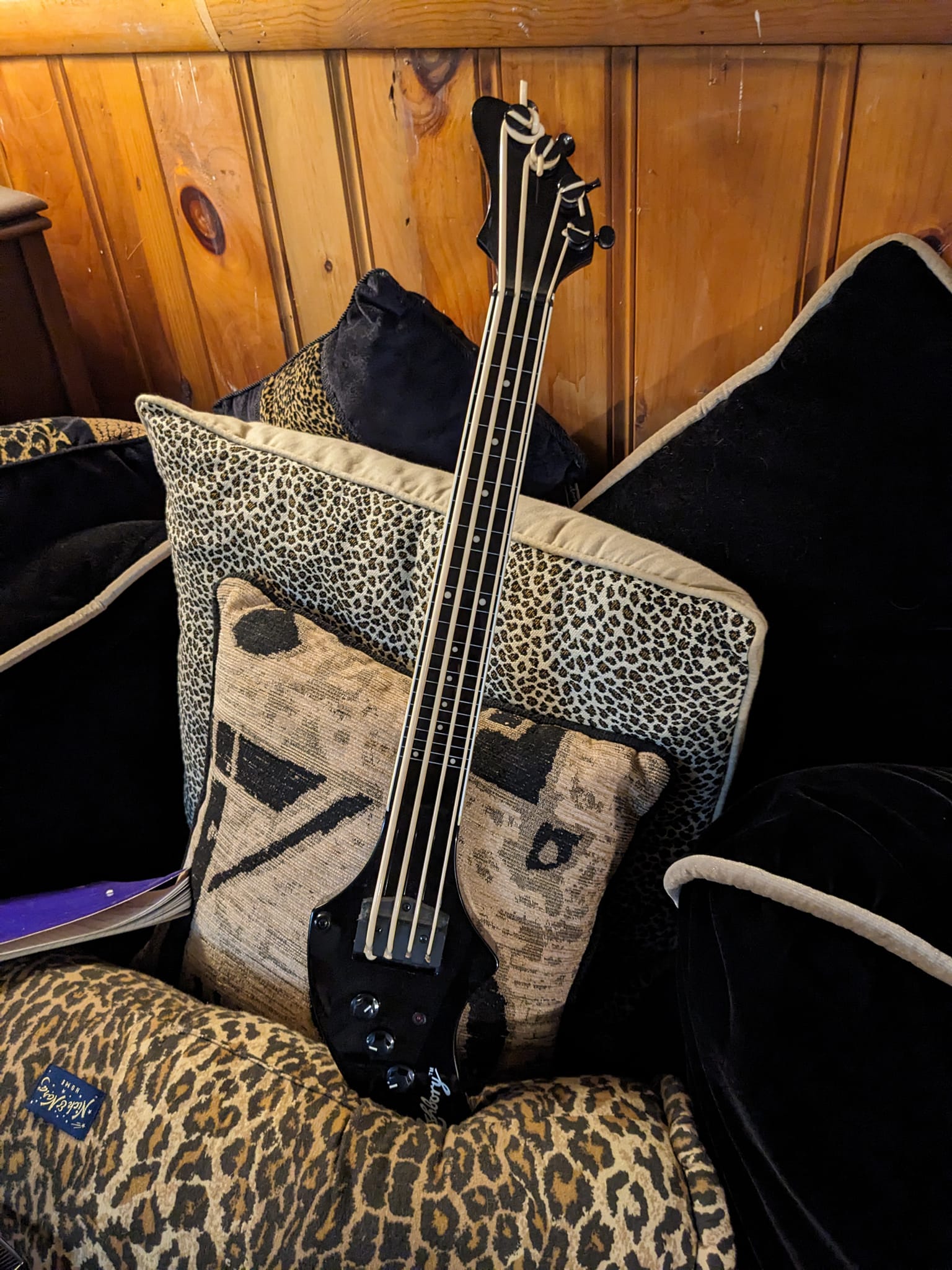 Is DeArmond Ashbory bass worth $25?