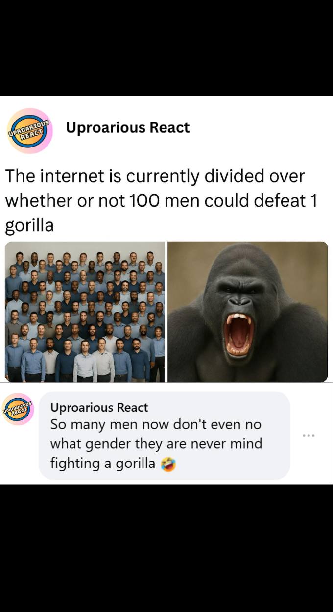 Uproarious - There’s no way🤣 #Shocked #HilariousMoments #NoWay | Facebook
