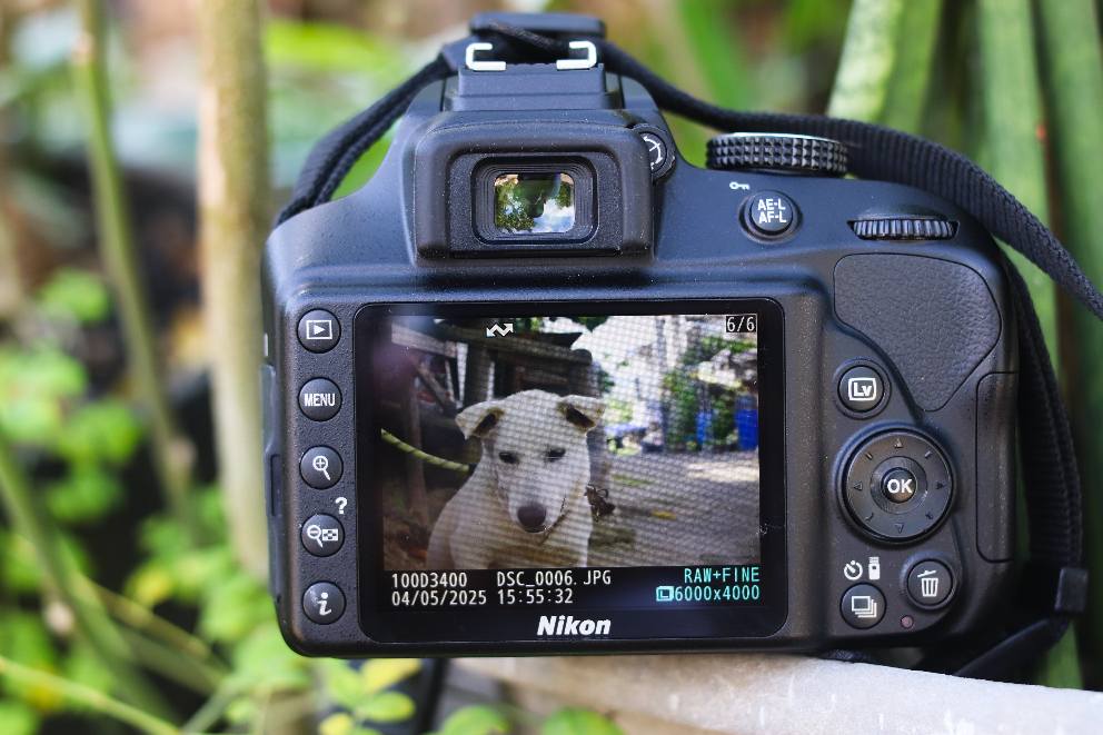 MoreJay Authentic DSLR Shop Philippines | San Jose del Monte