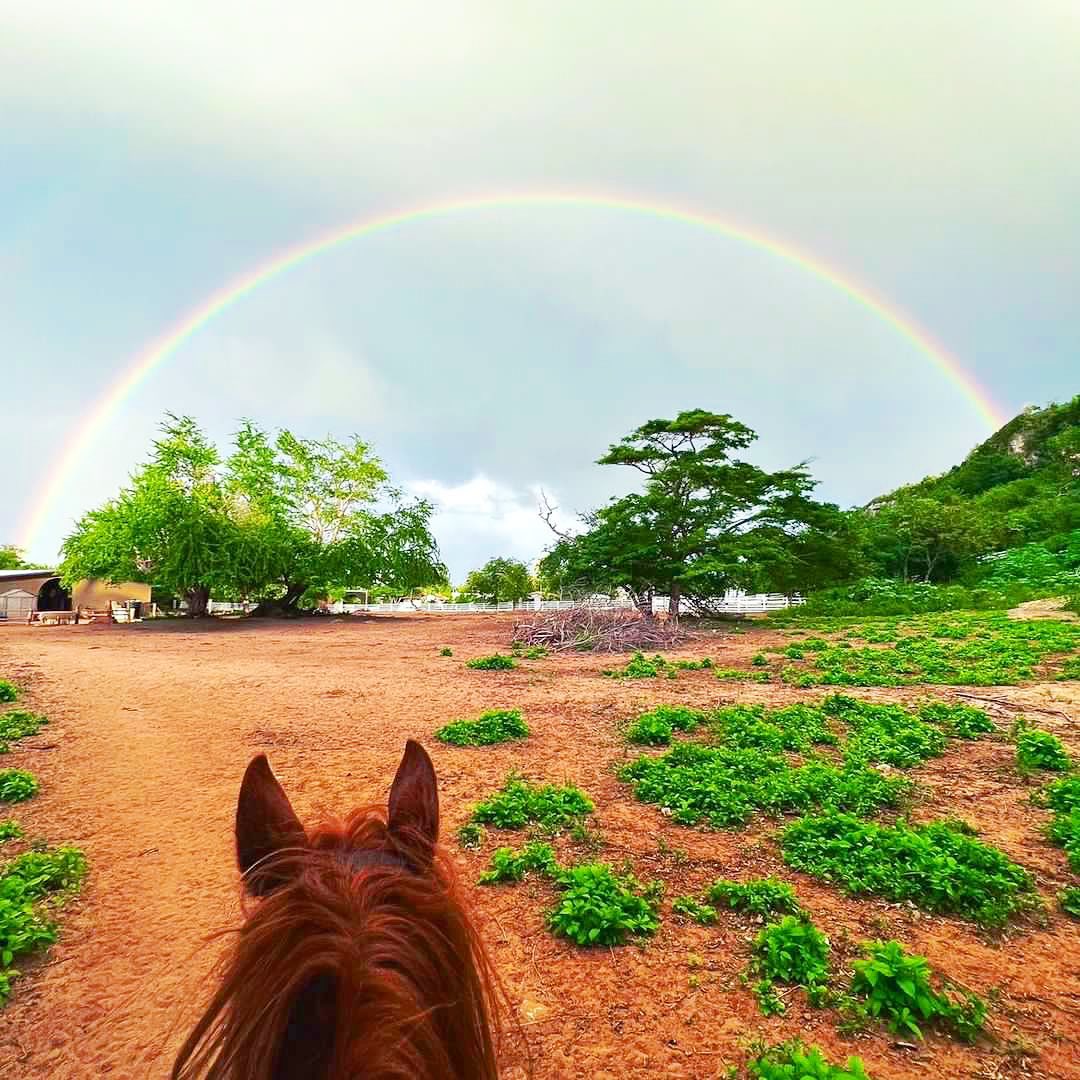 Tropical Trail Rides - Isabela | Jobos