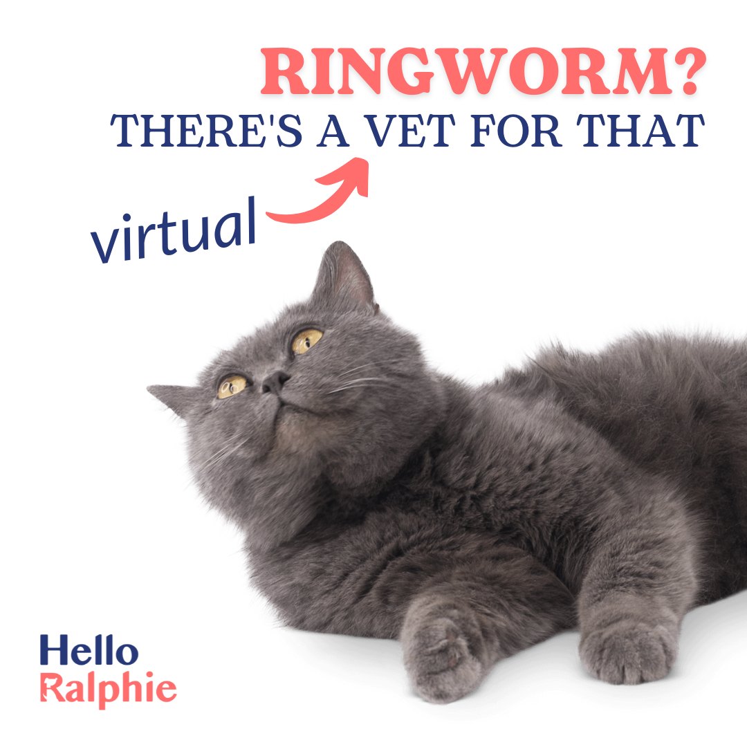 Hello Ralphie