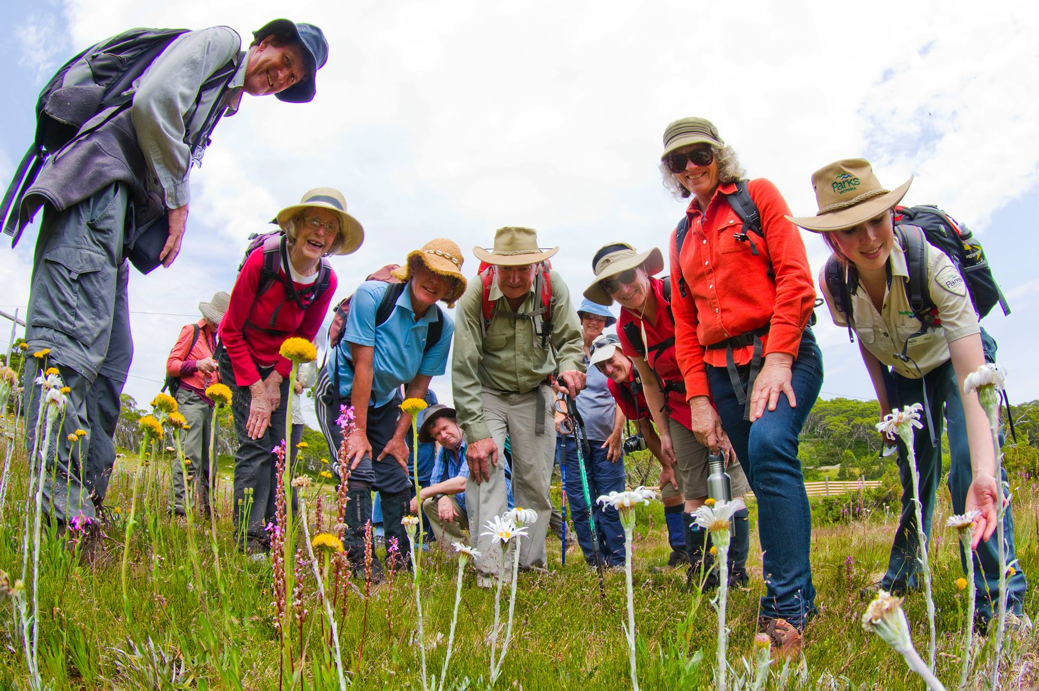Parks Victoria - Park visitors joined botanist John Davies, ecologist ...