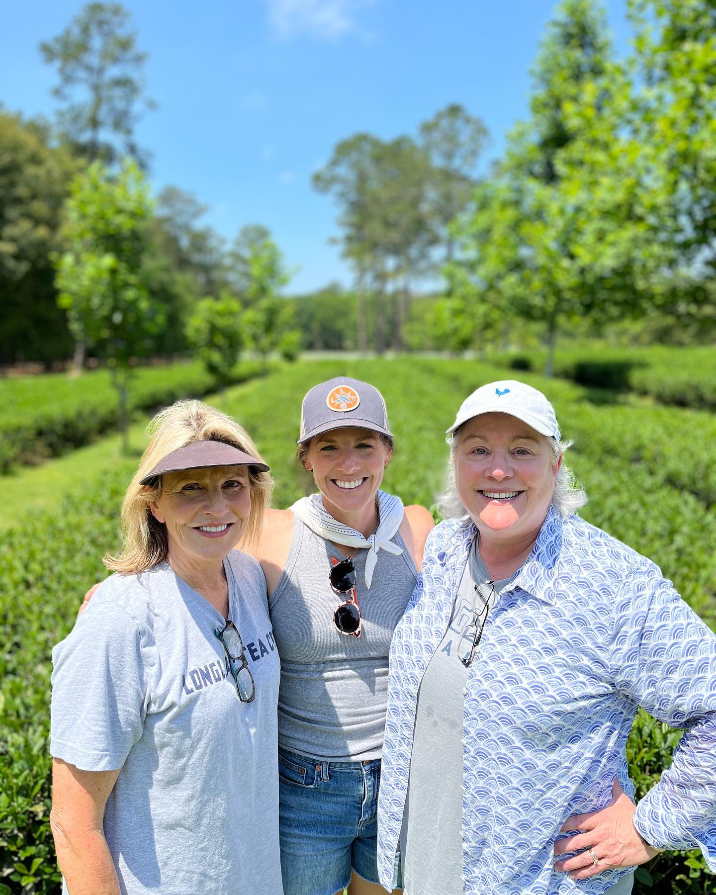 The mothers of Longleaf Tea Co.... - Longleaf Tea Company | Facebook