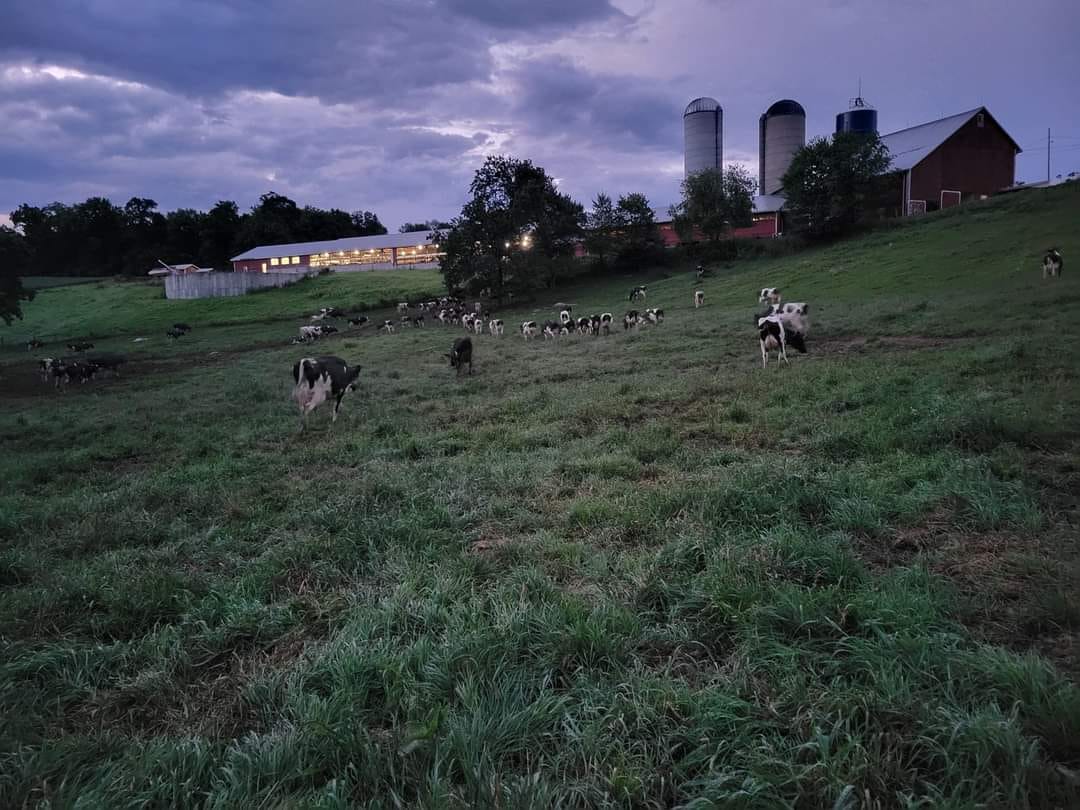 Sandy Ridge Farms