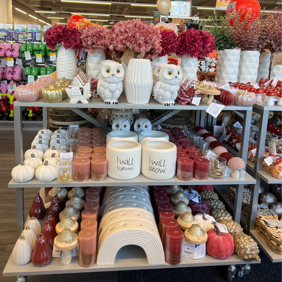 🧡 Es wird herbstlich in unseren Filialen 🧡 Ob kleine Eulen, verschiedene Kürbisse oder lustige Wichtel: Unsere Herbstdeko darf in keinem Zuhause fehlen 🥰🧡 Shoppt sie jetzt direkt in einer unserer Fili