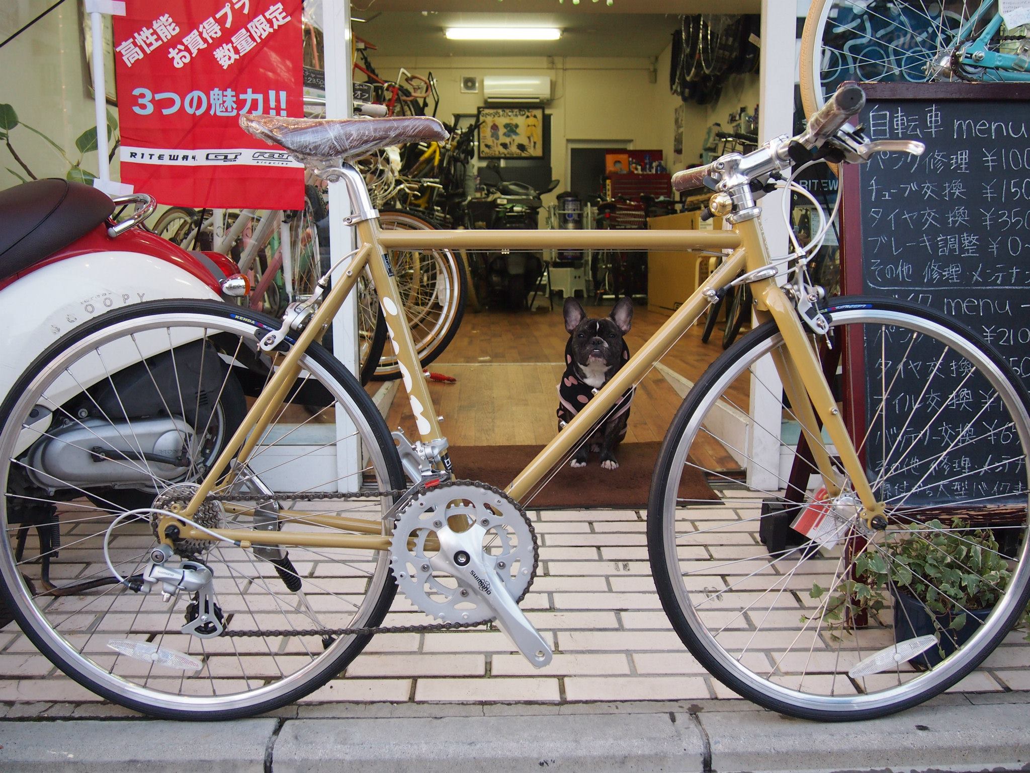 自転車本体 RITEWAY SHEPHERD IRON D 700C 2X8S 500mm Riteway