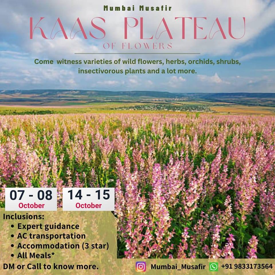 𝐂𝐡𝐨𝐫 𝐁𝐚𝐳𝐚𝐚𝐫 𝐖𝐚𝐥𝐤 07 Feb Sat 𝟒:30 𝐏𝐌- 𝟔:3𝟎 𝐏𝐌 Price: Rs. 950 pp 📍 𝐍𝐮𝐥𝐥 ...