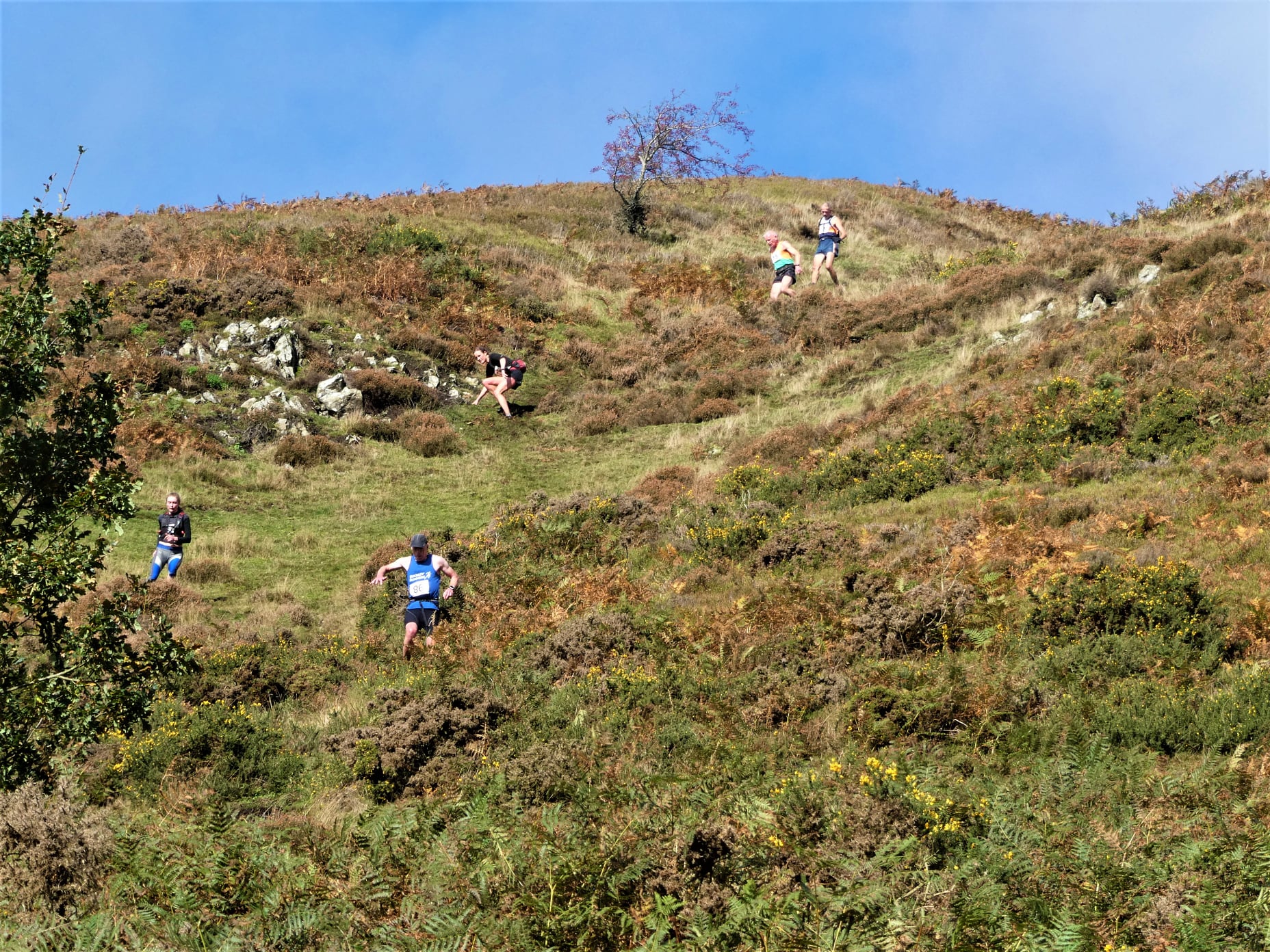 Clwydian Hills Fell Race | Cilcain