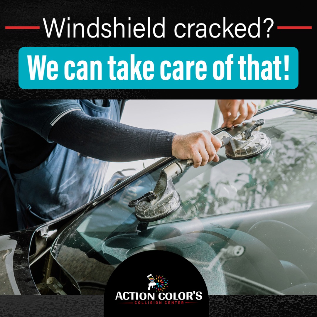 Action - Did you know in the state of Florida, all insurance companies ...