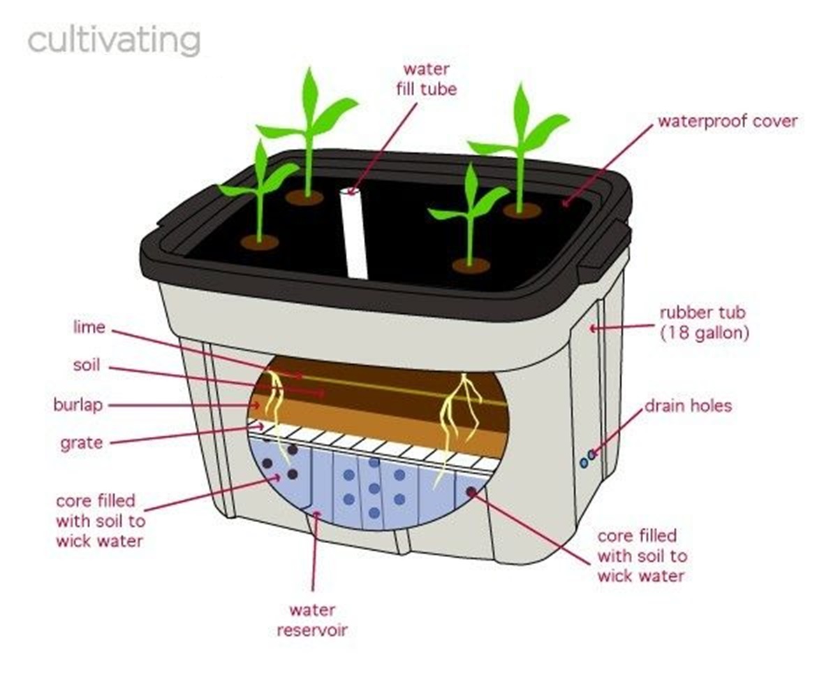 How its Works | a self-watering container gardening system designed for ...