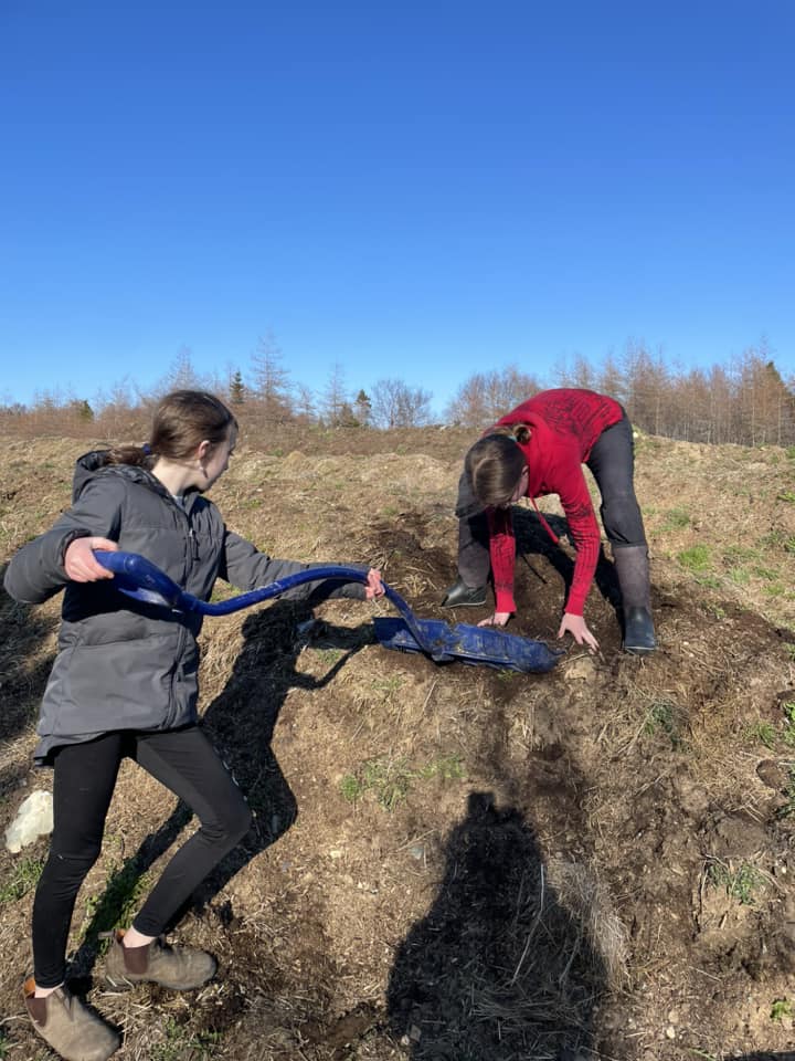 The future of farming in NL - learning... - Four Crows Ranch
