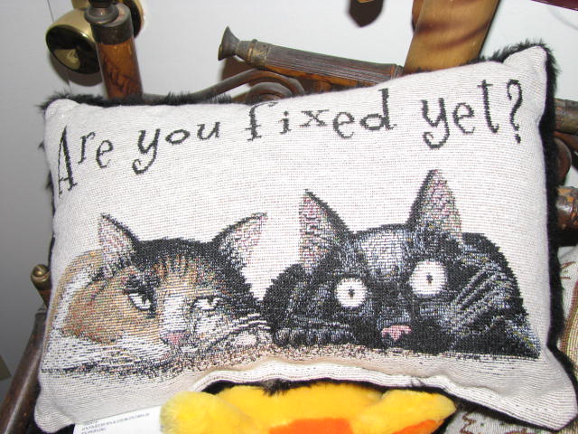 Save a Kitty Feral Cat Program