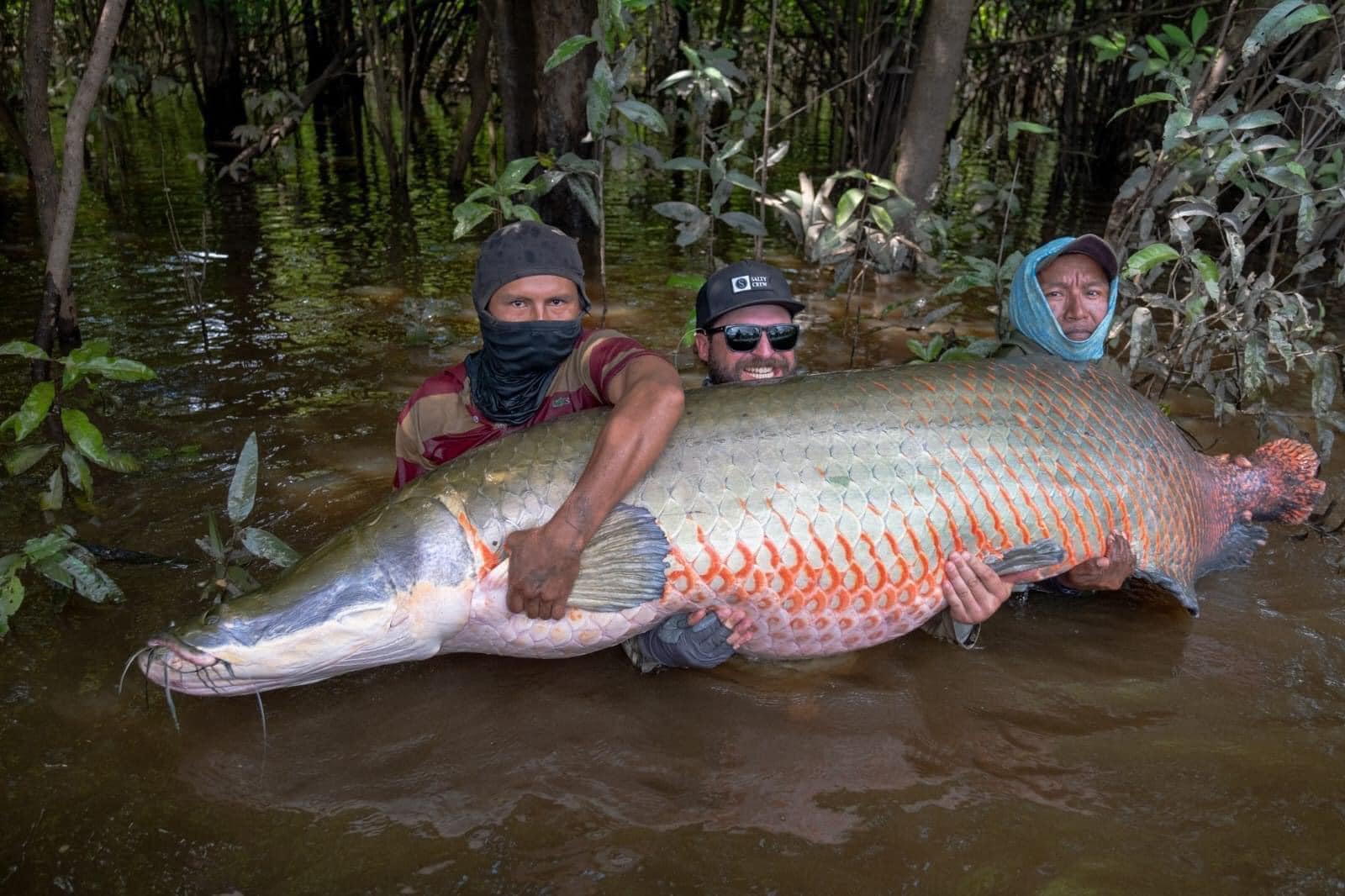 Dr. - New record for biggest Arapaima caught! An 88-inch long Arapaima ...