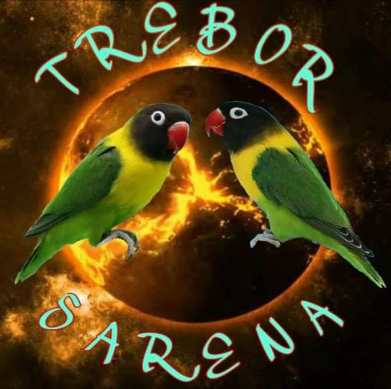 Trebor Sarena - Sulit ang layo ng biahe sa mga materiales... | Facebook