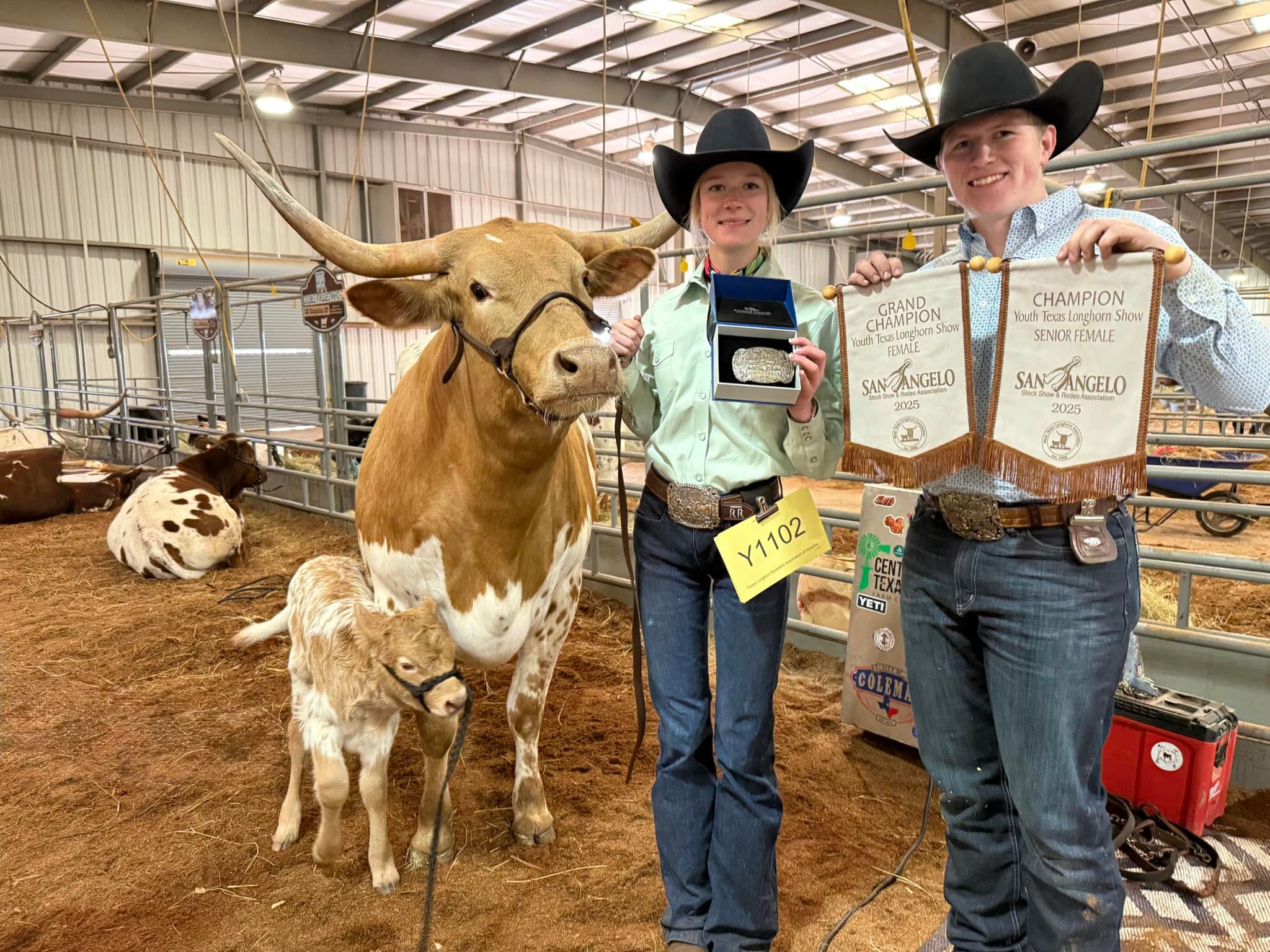 Double R Ranch Longhorns | Grandview TX