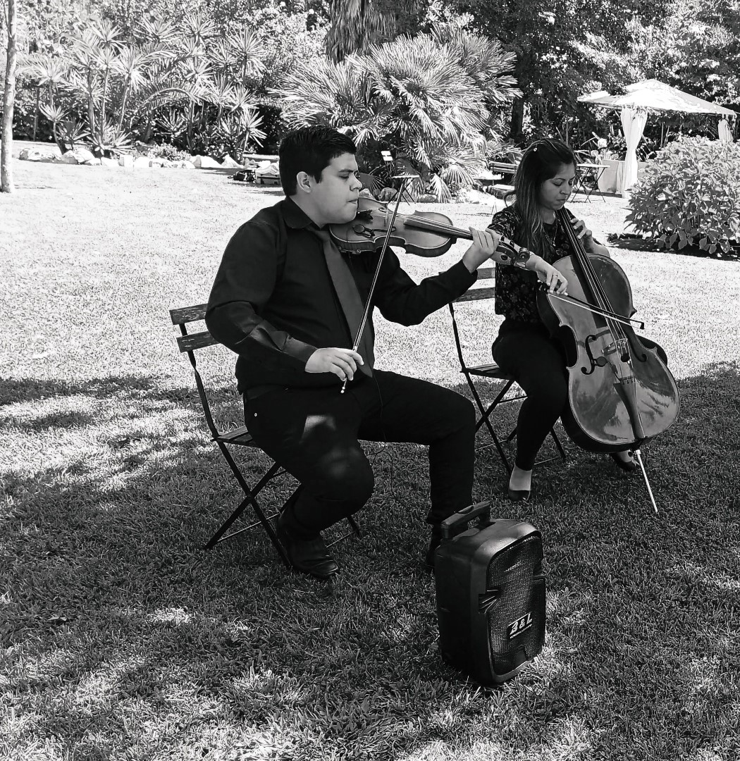 Musical Reflection