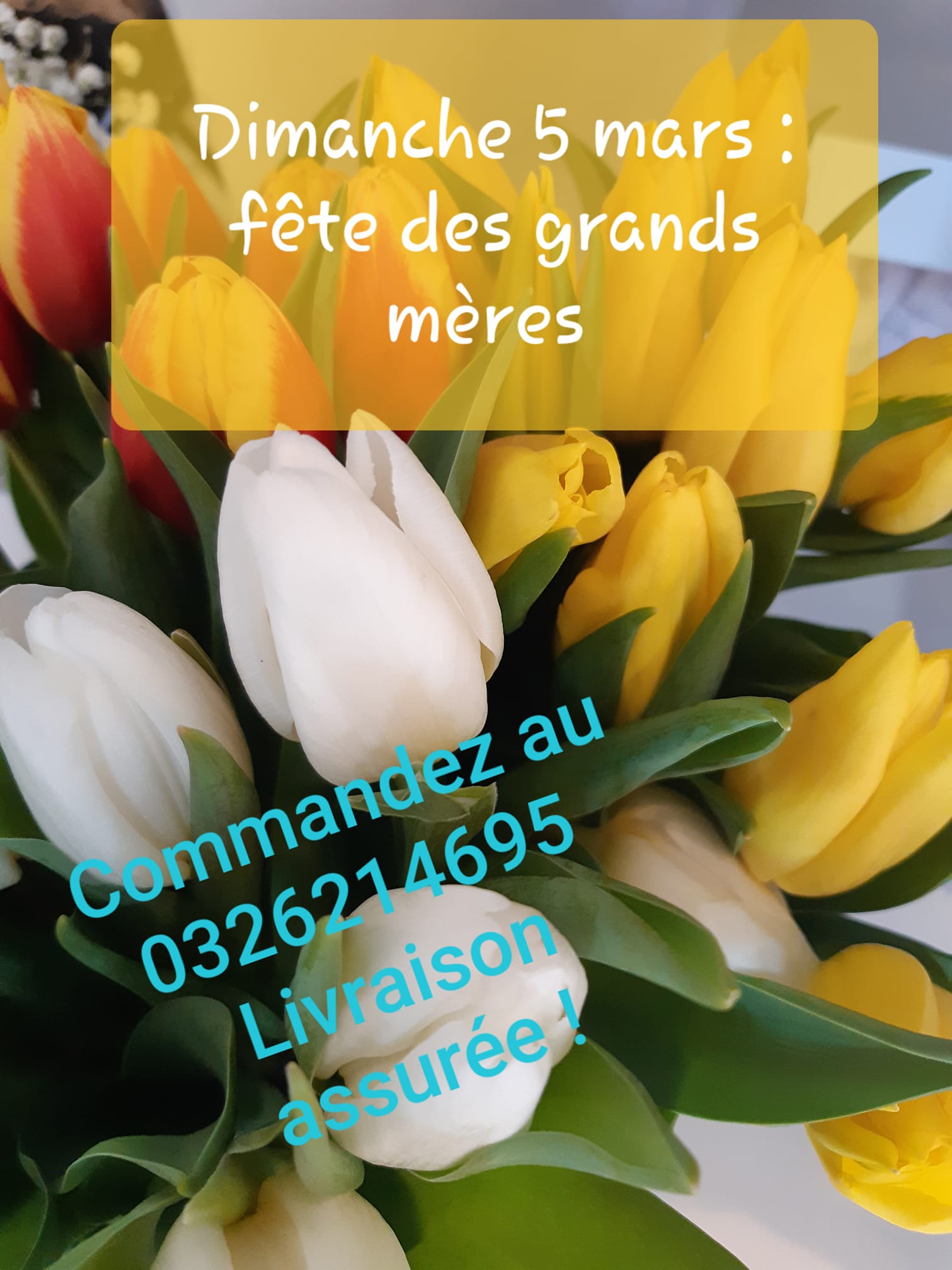 Tu Sais Que Tu As Habité Courtisols