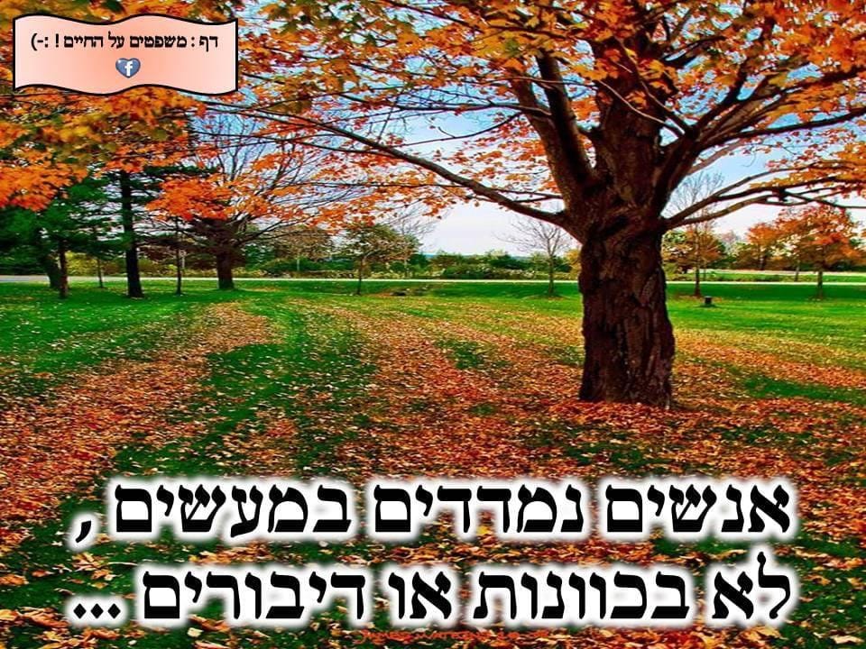 לאה אלבז