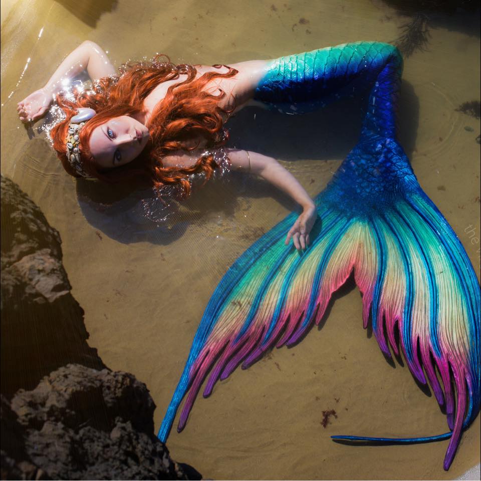 The Virginia Mermaid - Chatting with some of my favorite merpeople ...