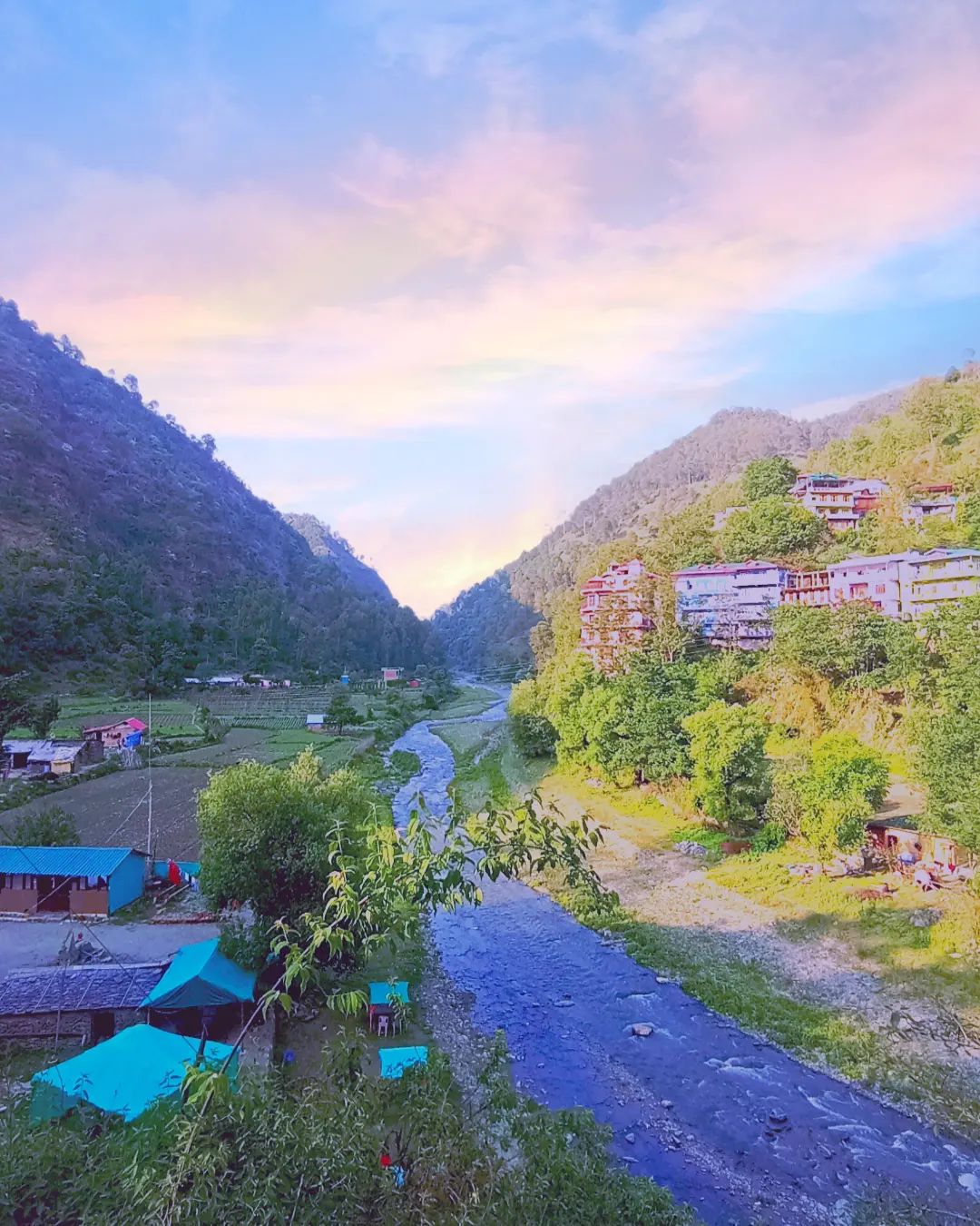 Chail Hills - #sadhupul #sadhupull #chail #chailhills...
