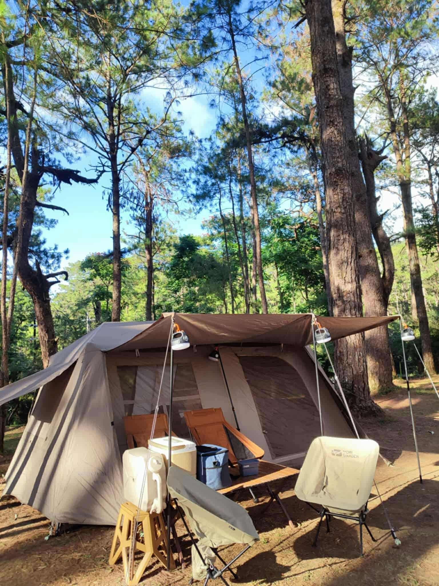 Japan🇯🇵 VISION PEAKS DOME SHELTER 340 MESHT NET TENT‼️ Good for