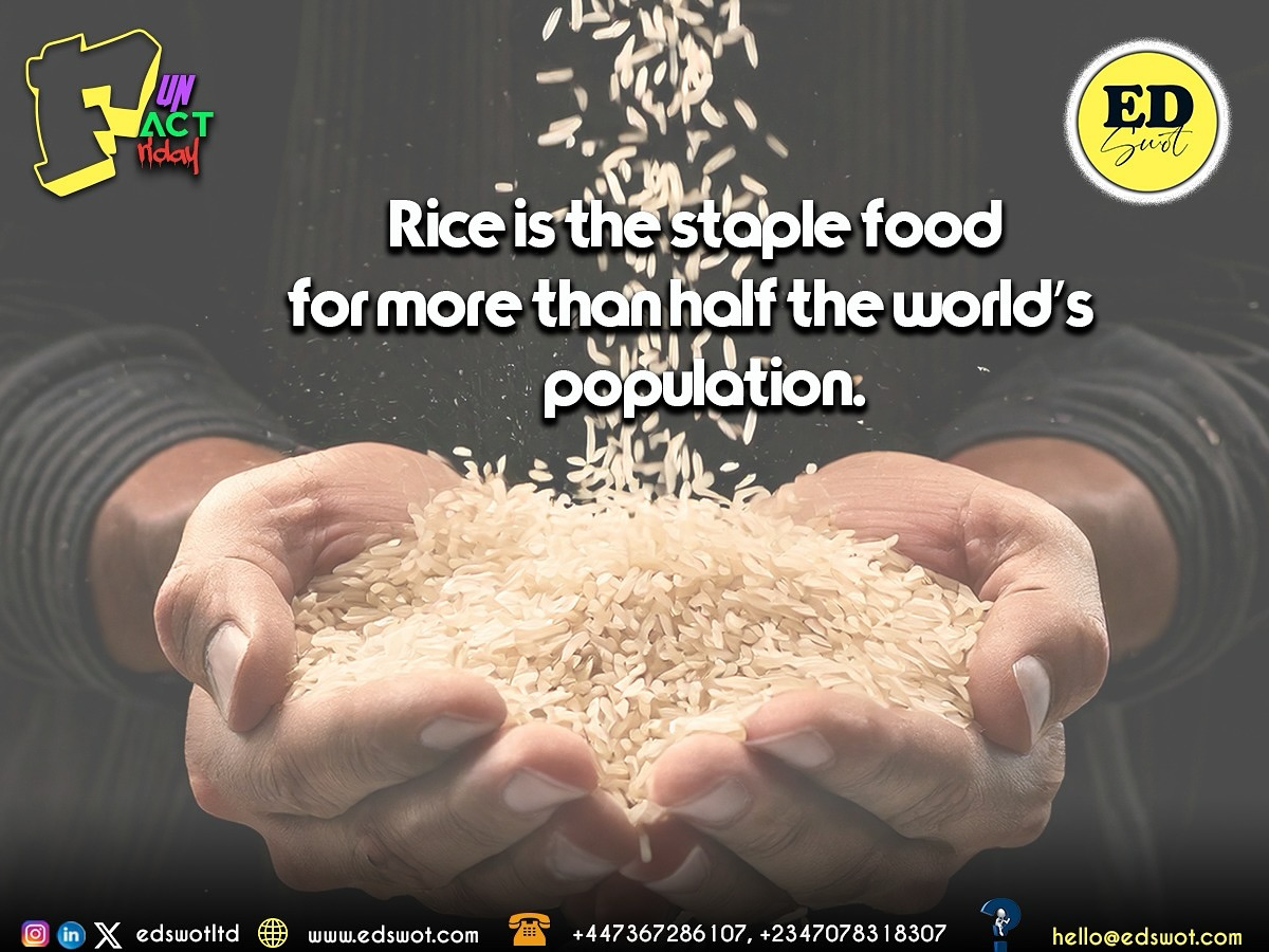 Edswotltd - 🍚 Fun Fact Friday! 🍚 Did you know? 🤔 Rice is the staple ...