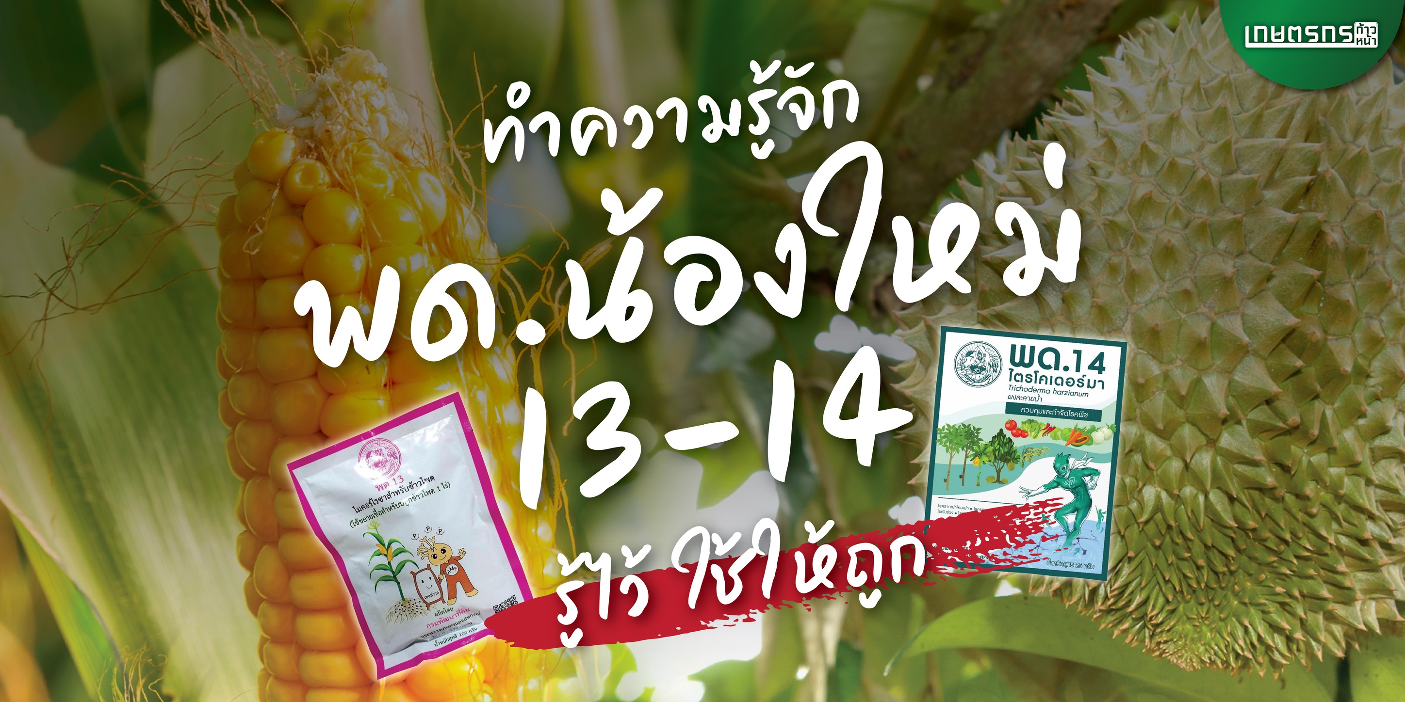 เกษตรกรก้าวหน้า - 🟢 มาอัปเดตผลิตภัณฑ์ #สารเร่งซุปเปอร์พด....